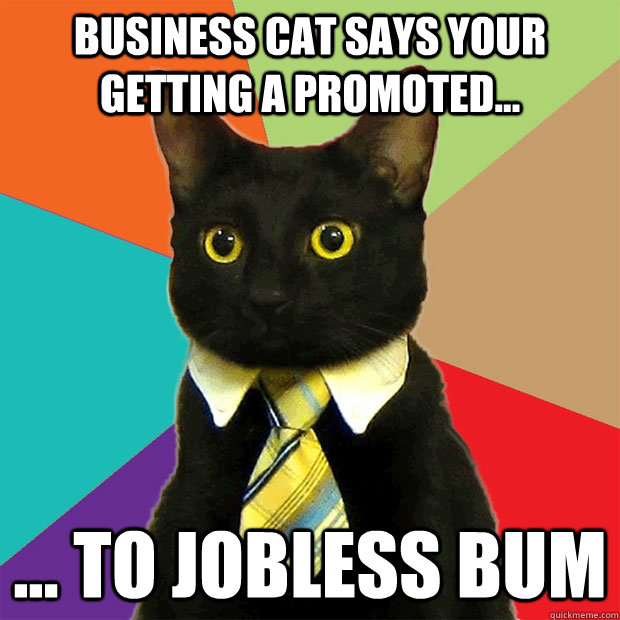 Business cat says your getting a promoted... ... to jobless bum  Business Cat