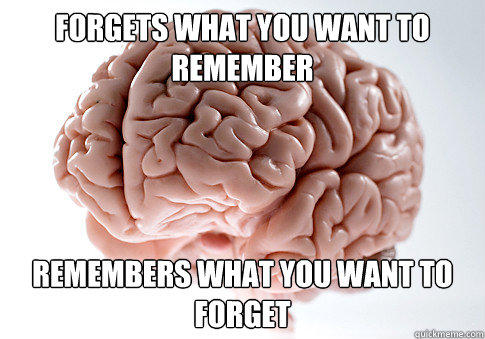 forgets what you want to remember remembers what you want to forget - forgets what you want to remember remembers what you want to forget  Scumbag Brain