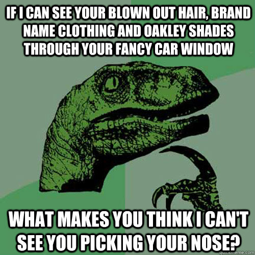 If I can see your blown out hair, brand name clothing and oakley shades through your fancy car window What makes you think i can't see you picking your nose?  Philosoraptor