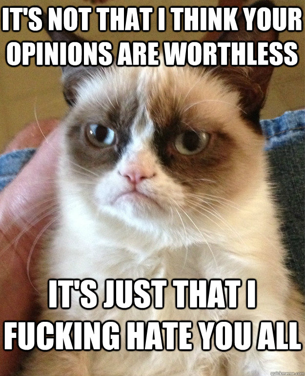 It's not that i think your opinions are worthless it's just that I fucking hate you all - It's not that i think your opinions are worthless it's just that I fucking hate you all  Grumpy Cat