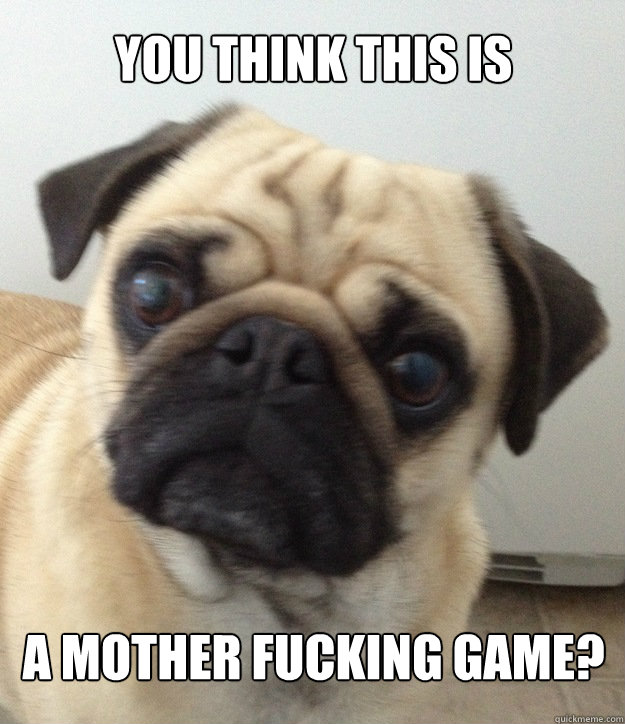 you think this is a mother fucking game?  Game Pug