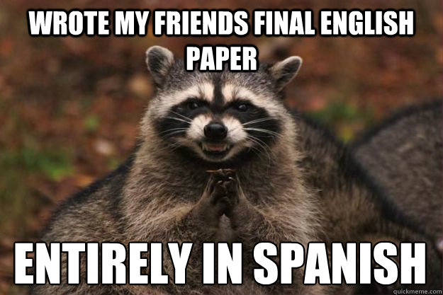 Wrote my friends final English paper entirely in spanish  Evil Plotting Raccoon