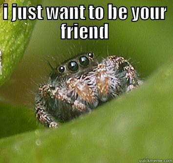 I JUST WANT TO BE YOUR FRIEND  Misunderstood Spider