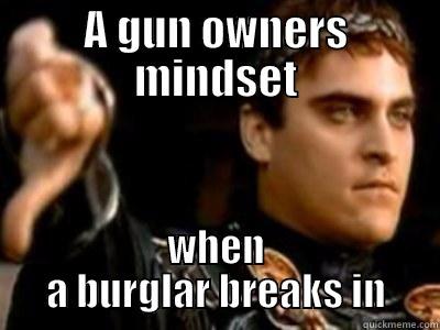 A GUN OWNERS MINDSET WHEN A BURGLAR BREAKS IN Downvoting Roman