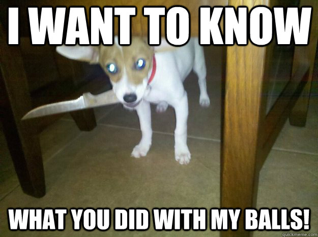 i want to know what you did with my balls! - i want to know what you did with my balls!  Misc