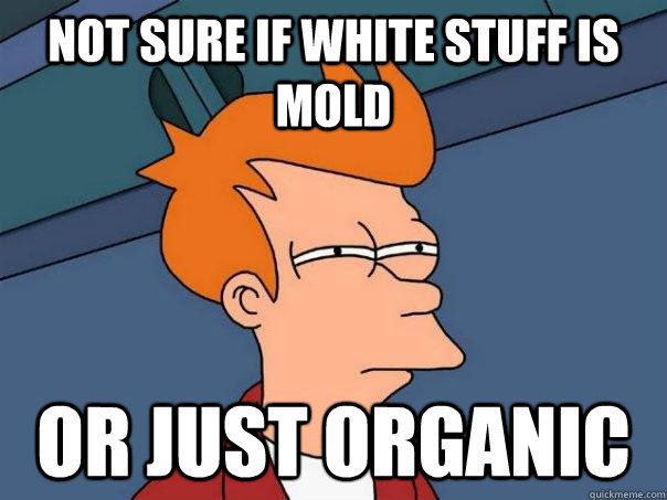 Not sure if white stuff is mold Or just organic  Futurama Fry