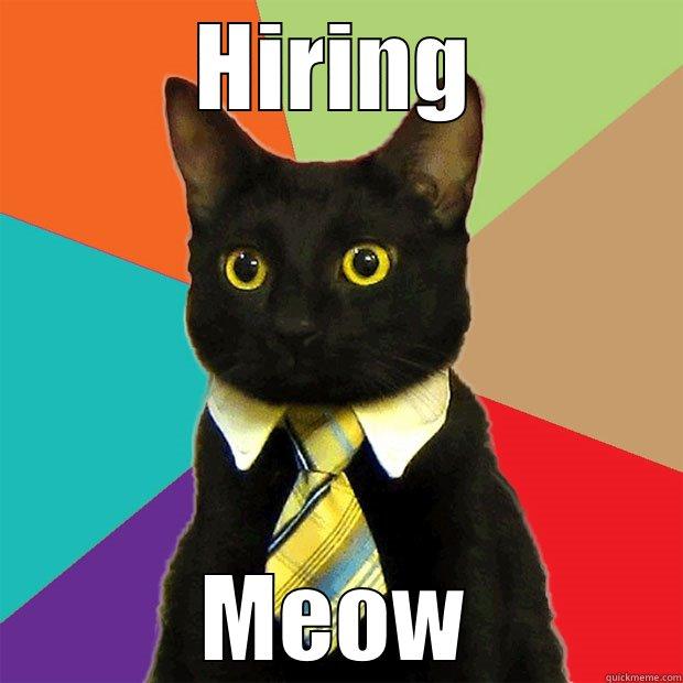 HIRING MEOW Business Cat