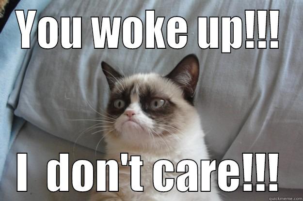 YOU WOKE UP!!! I  DON'T CARE!!! Grumpy Cat