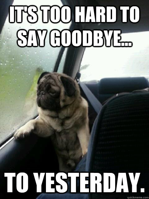 It's too hard to say goodbye... to yesterday.  Introspective Pug