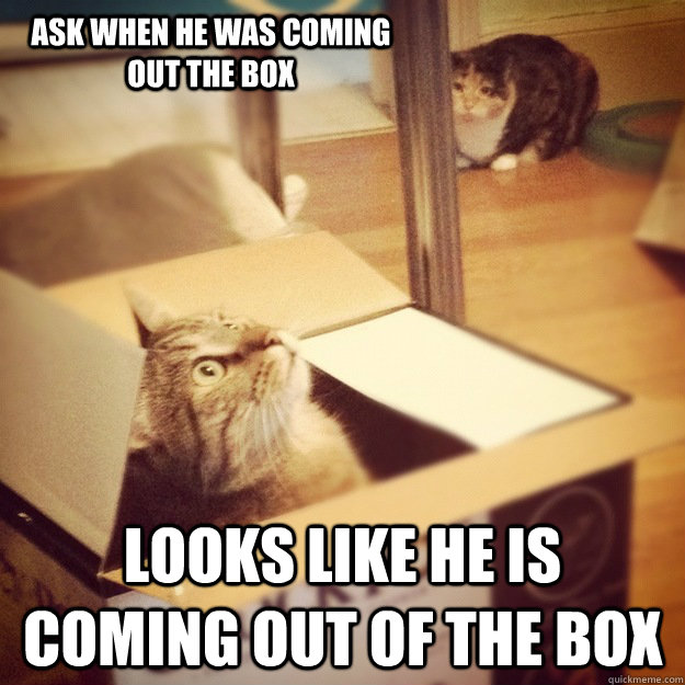 Ask when he was coming out the box Looks like he is coming out of the box   Cats wife