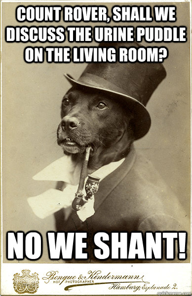 Count Rover, Shall we discuss the urine puddle on the living room? No we shant! - Count Rover, Shall we discuss the urine puddle on the living room? No we shant!  Old Money Dog