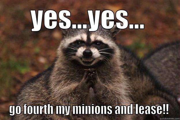 Integrity Minions - YES...YES... GO FOURTH MY MINIONS AND LEASE!! Evil Plotting Raccoon