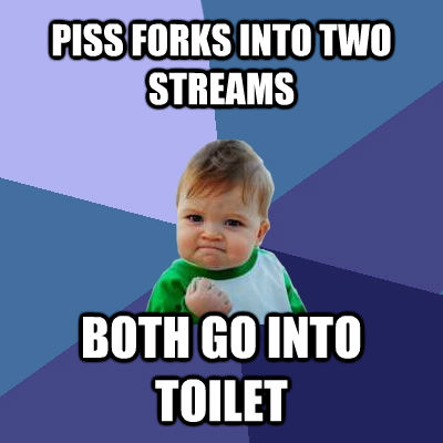 PISS FORKS INTO TWO STREAMS BOTH GO INTO TOILET  Success Kid