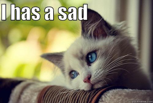 I HAS A SAD                    First World Problems Cat