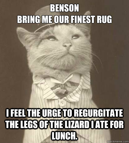 Benson 
bRING ME OUR FINEST RUG I FEEL THE URGE TO REGURGITATE THE LEGS OF THE LIZARD I ATE FOR LUNCH.  Aristocat