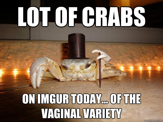 Lot of crabs On imgur today... of the vaginal variety  Fancy Crab