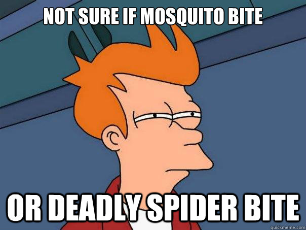 Not sure if mosquito bite  or deadly spider bite  Futurama Fry