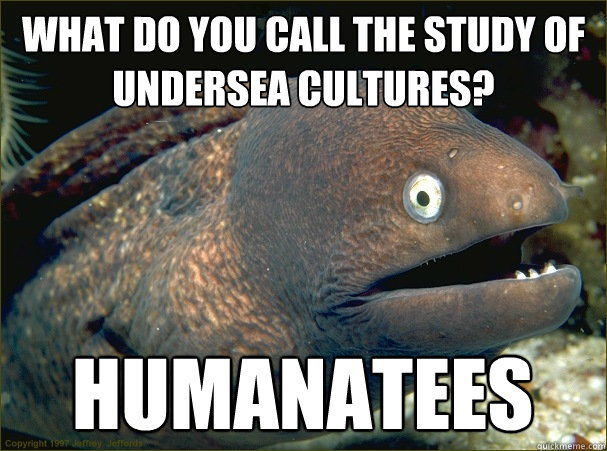 What do you call the study of undersea cultures? humanatees  Bad Joke Eel