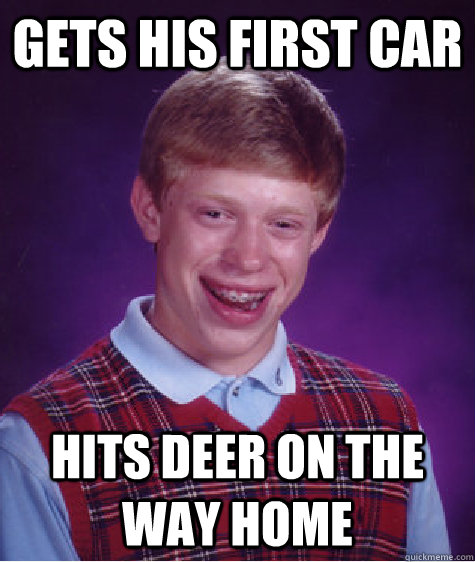 gets his first car hits deer on the way home - gets his first car hits deer on the way home  Misc