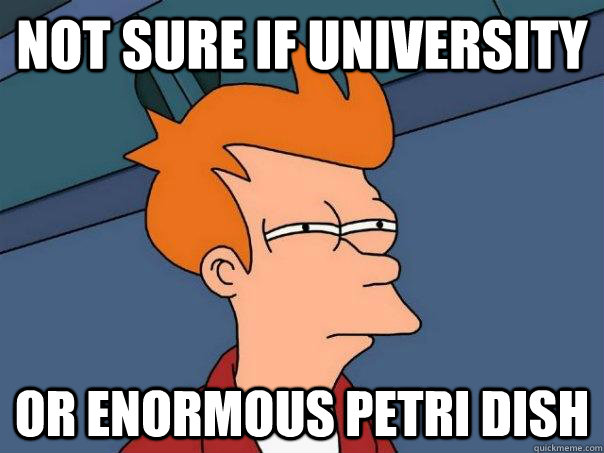 Not sure if university or enormous petri dish  Futurama Fry