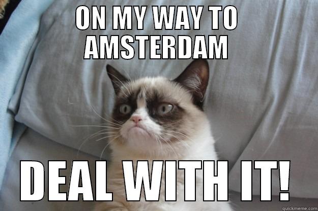 ON MY WAY TO AMSTERDAM DEAL WITH IT! Grumpy Cat