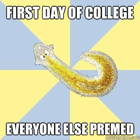 first day of college everyone else premed  Bio Major Planarian