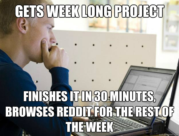 GETS WEEK LONG PROJECT FINISHES IT IN 30 MINUTES, BROWSES REDDIT FOR THE REST OF  THE WEEK  Programmer