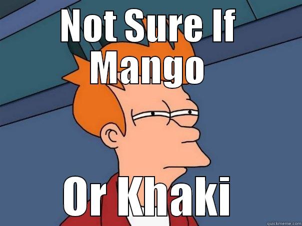 NOT SURE IF MANGO OR KHAKI Futurama Fry