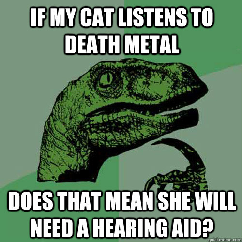 If my cat listens to death metal Does that mean she will need a hearing aid?  Philosoraptor