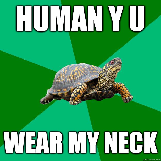 human y u Wear my neck  Torrenting Turtle