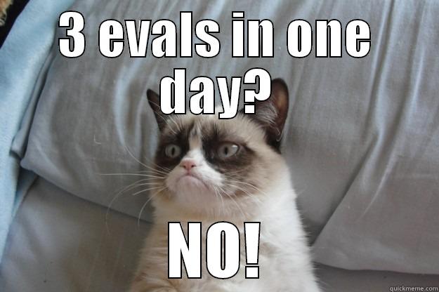 3 EVALS IN ONE DAY? NO! Grumpy Cat