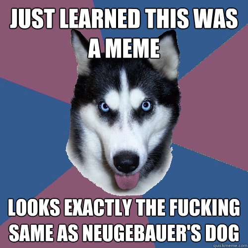 Just learned this was a meme Looks exactly the fucking same as neugebauer's dog  Creeper Canine