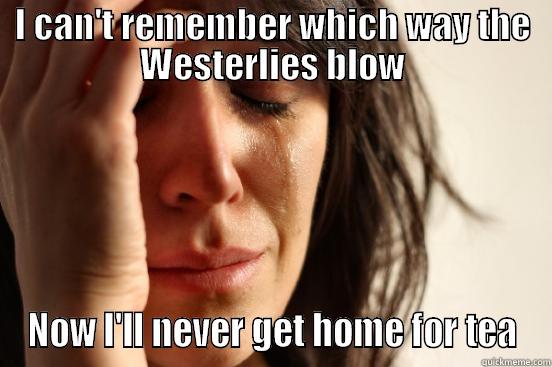 I CAN'T REMEMBER WHICH WAY THE WESTERLIES BLOW NOW I'LL NEVER GET HOME FOR TEA First World Problems