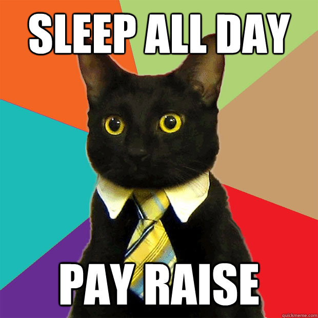 Sleep all day Pay raise  Business Cat