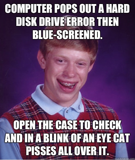 computer pops out a hard disk drive error then blue-screened. Open the case to check and in a blink of an eye cat pisses all over it. - computer pops out a hard disk drive error then blue-screened. Open the case to check and in a blink of an eye cat pisses all over it.  Bad Luck Brian