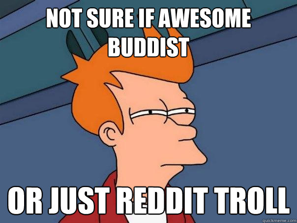 Not sure if awesome buddist or just reddit troll  Futurama Fry