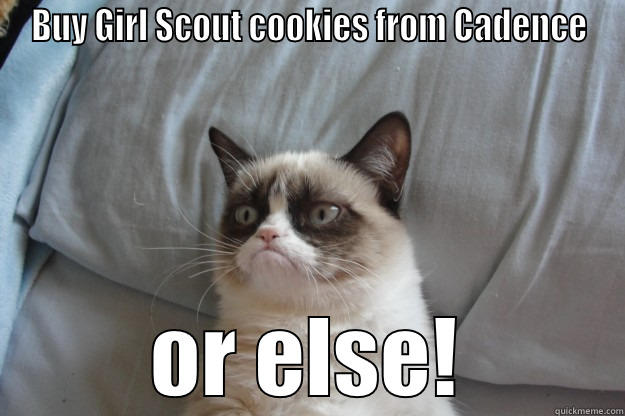 BUY GIRL SCOUT COOKIES FROM CADENCE OR ELSE! Grumpy Cat