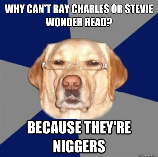 why can't ray charles or stevie wonder read? because they're niggers  