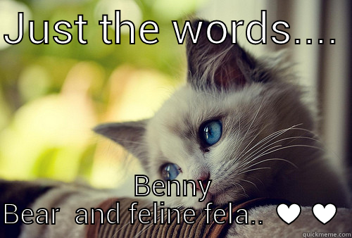 JUST THE WORDS....  BENNY BEAR  AND FELINE FELA.. ♥♥ First World Problems Cat