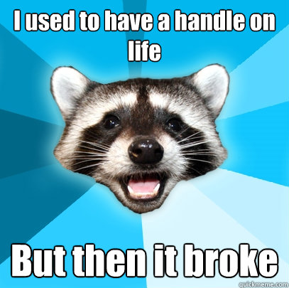 I used to have a handle on life But then it broke  Lame Pun Coon