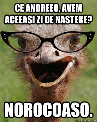 Ce Andreeo, avem aceeasi zi de nastere? Norocoaso. - Ce Andreeo, avem aceeasi zi de nastere? Norocoaso.  Judgmental Bookseller Ostrich