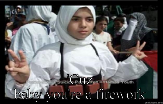  'CUZ BABY YOU'RE A FIREWORK Misc