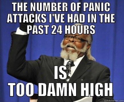 THE NUMBER OF PANIC ATTACKS I'VE HAD IN THE PAST 24 HOURS IS TOO DAMN HIGH Too Damn High