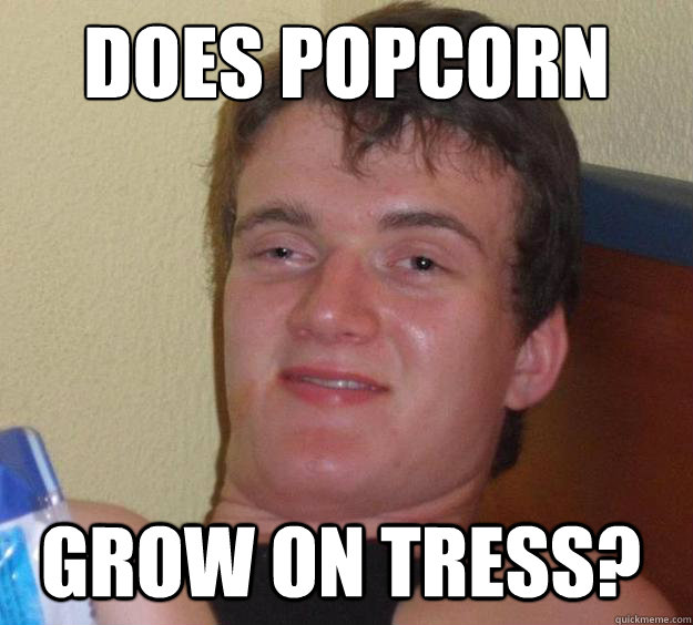 Does popcorn Grow on tress?  10 Guy