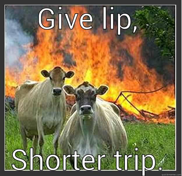 One Way Only - GIVE LIP, SHORTER TRIP. Evil cows