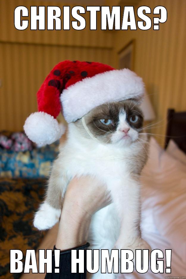 CHRISTMAS? BAH!  HUMBUG! Grumpy xmas