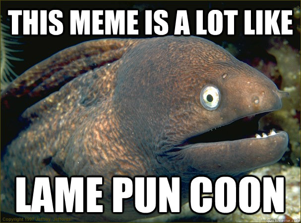 This meme is a lot like Lame Pun Coon   Bad Joke Eel