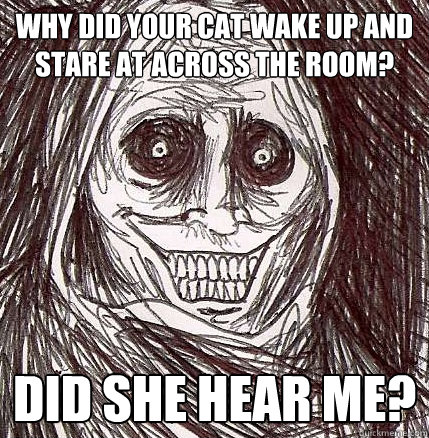 Why did your cat wake up and stare at across the room? Did she hear me? - Why did your cat wake up and stare at across the room? Did she hear me?  Horrifying Houseguest