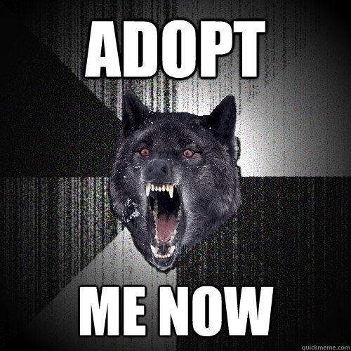 ADOPT ME NOW  Insanity Wolf