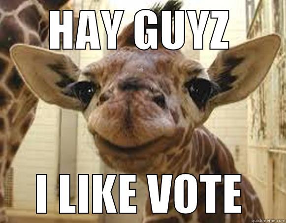 Cute Giraffe - HAY GUYZ I LIKE VOTE Misc